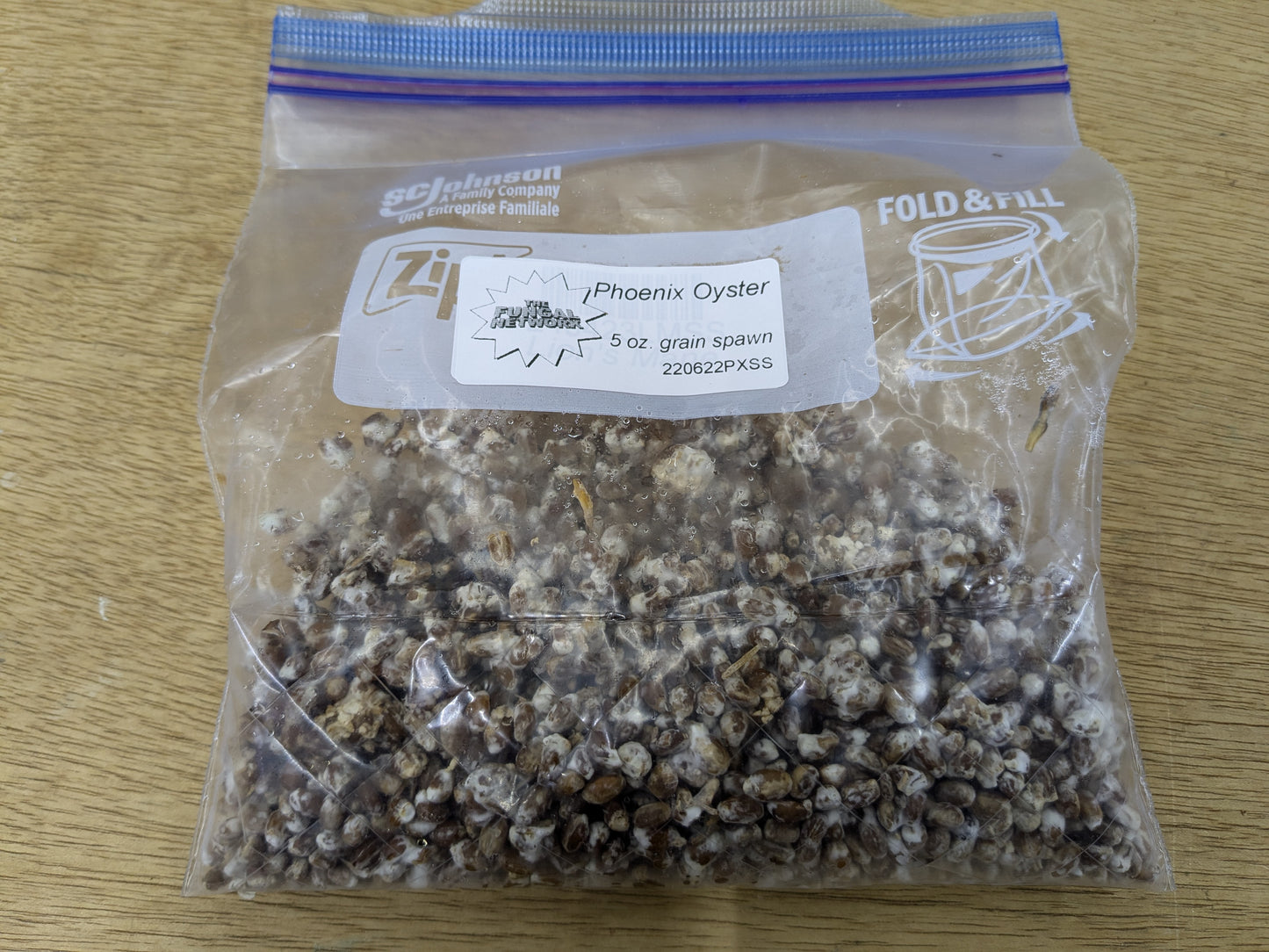 front view of a home mushroom growing DIY single shot spawn bag